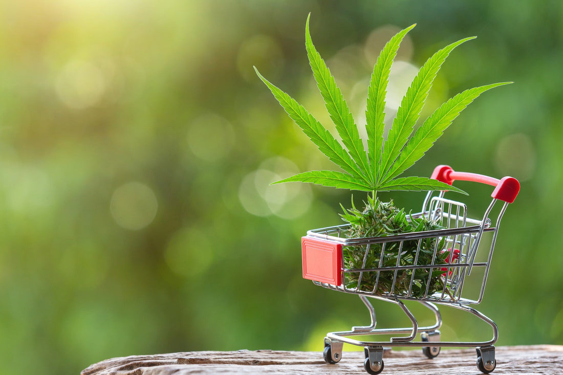 A shopping cart filled with cannabis leaves and buds, symbolizing THC products.