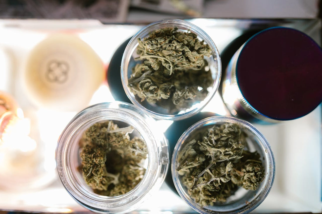 Three jars containing cannabis buds on a lighted surface.