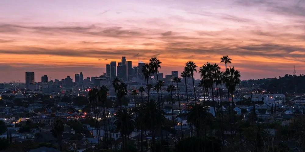 Sunset over Los Angeles skyline with palm trees in the foreground