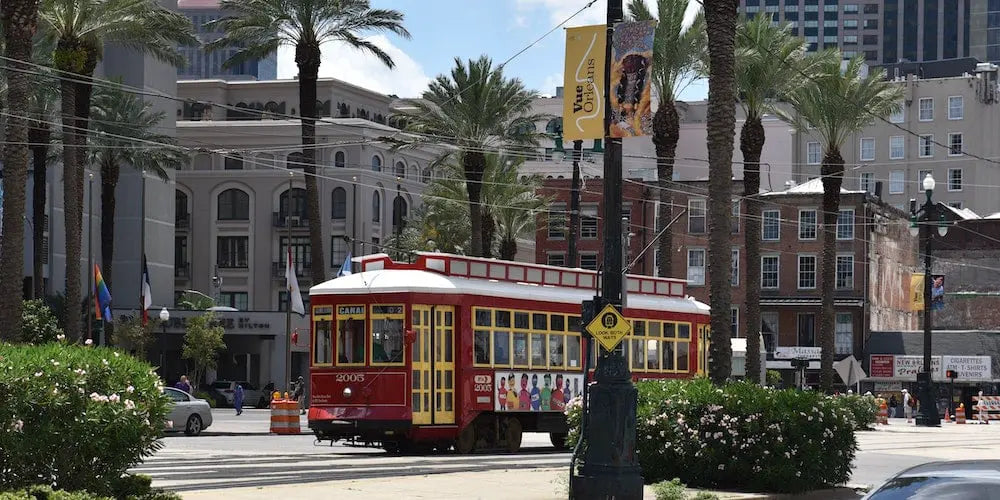 A red and yellow streetcar on a city street with palm trees.