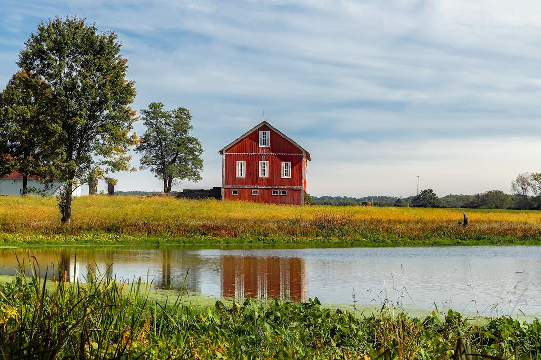 A scenic view of a red barn by a pond with trees and grass.