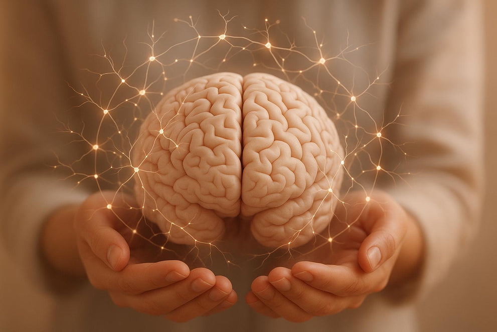 Endocannabinoid System and PTSD: Key Insights