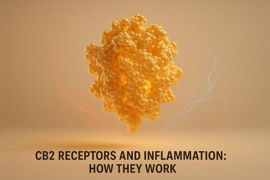 CB2 Receptors and Inflammation: How They Work