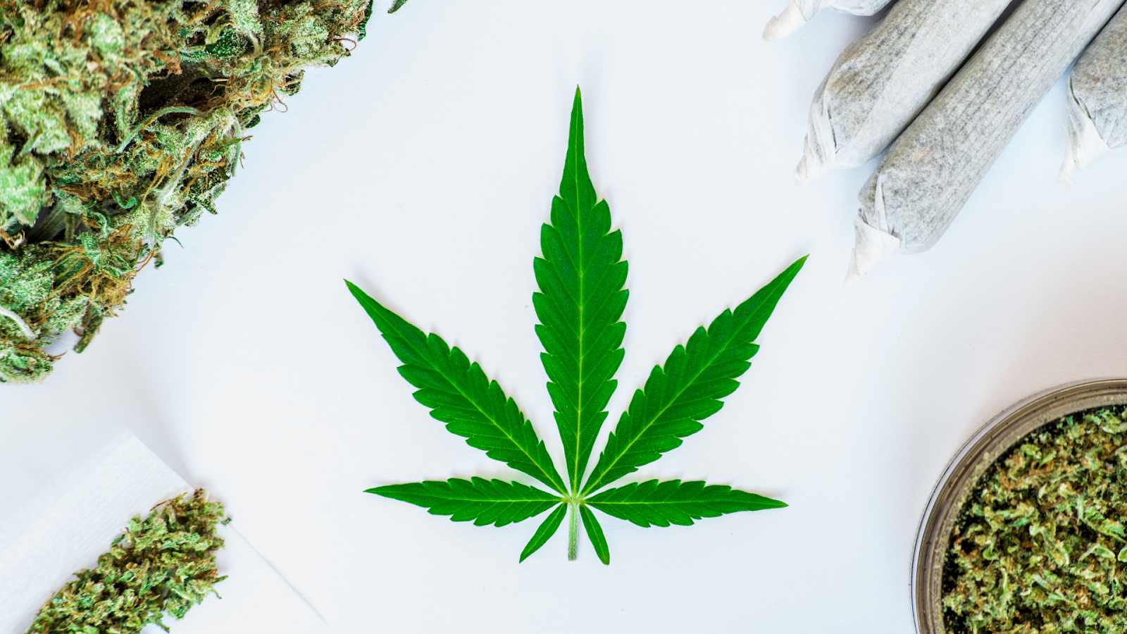 THCA Florida Guide: Legal Status, Products & Access Diet Smoke THCA Florida Guide: Legal Status, Products & Access Diet Smoke