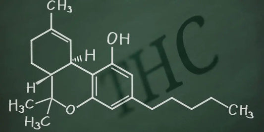 Chemical structure of THC with the letters THC in the background.