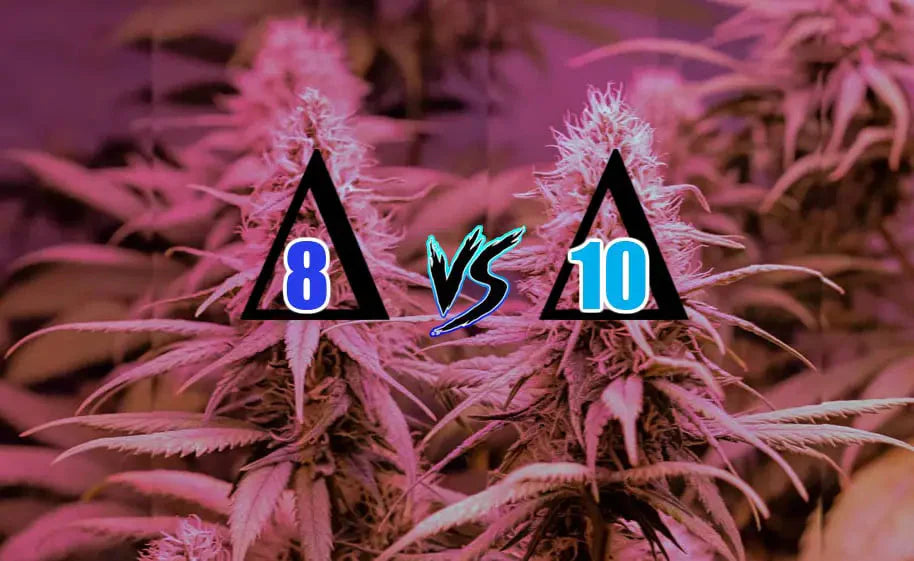 Cannabis plants with text '8 vs 10' comparing Delta 8 and Delta 10 THC