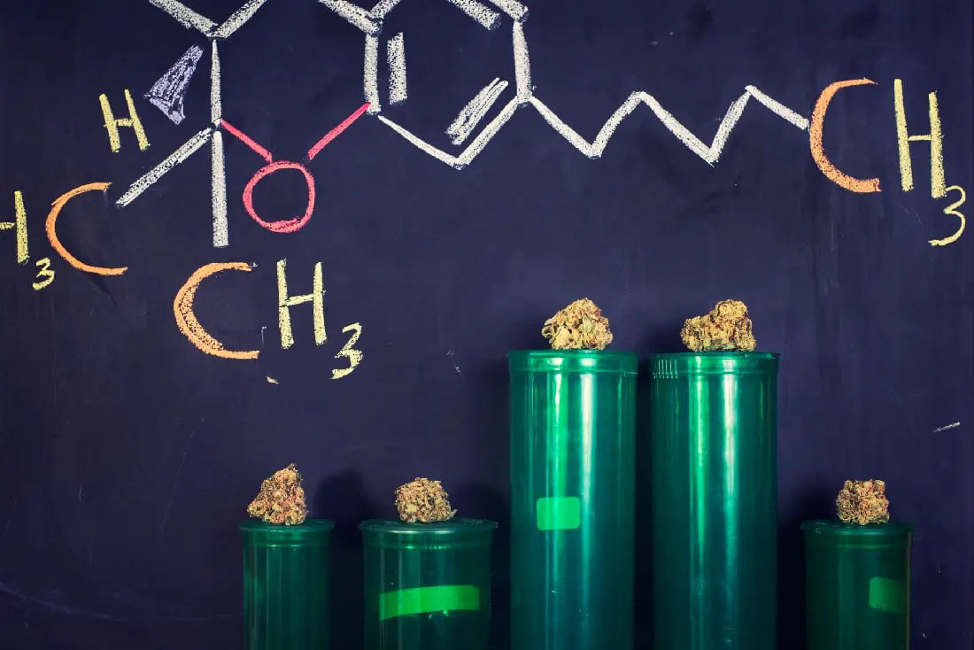 Chemical structure of Delta-8 THC with cannabis buds in green containers