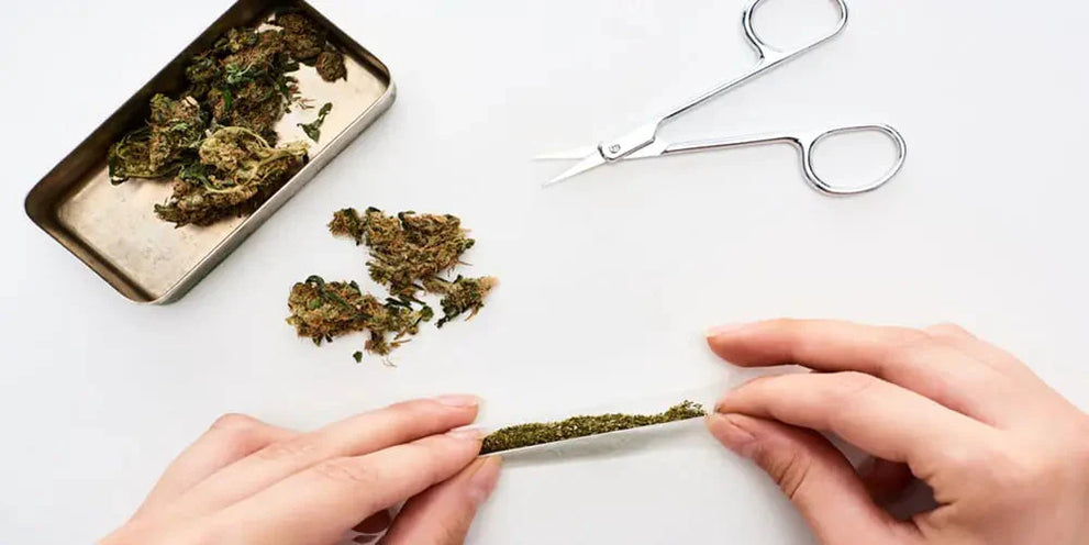 A person rolling a spliff with cannabis on a table, scissors nearby.