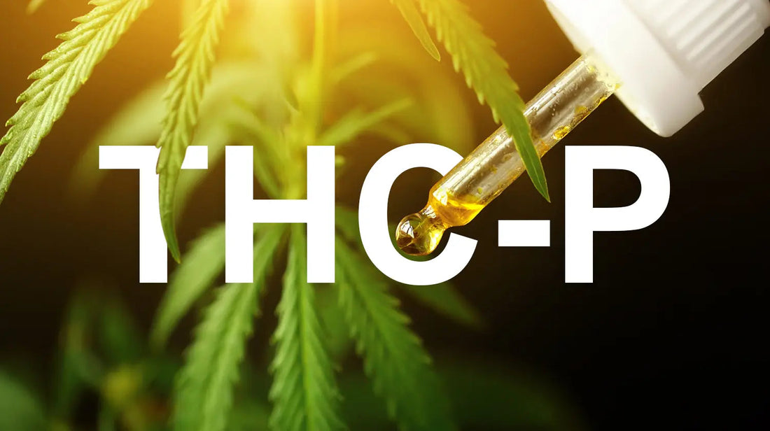 A dropper dispensing THC-P oil over a cannabis leaf