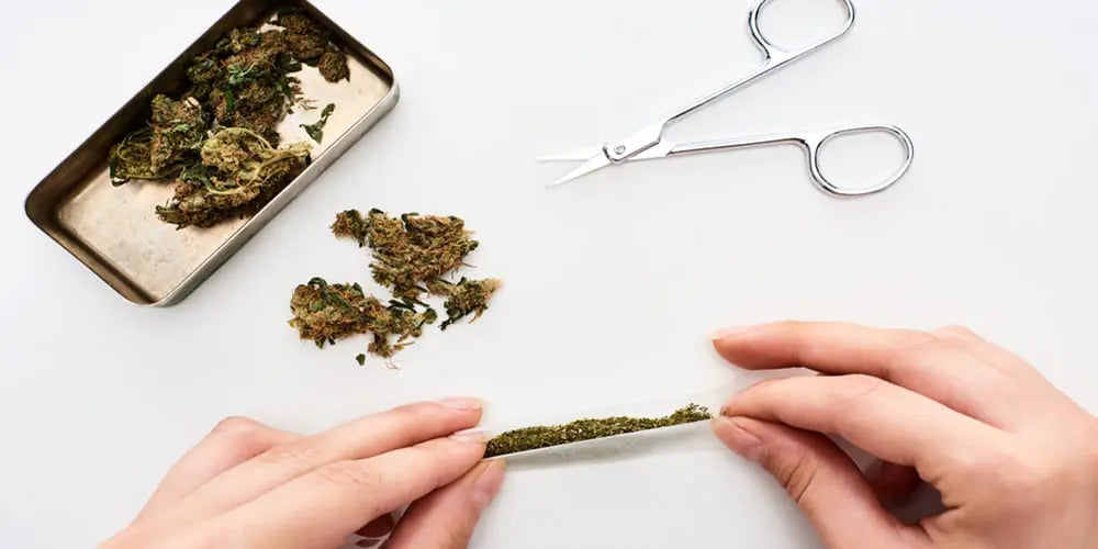 Spliff vs Joint: What's the Difference and Which Is Better?