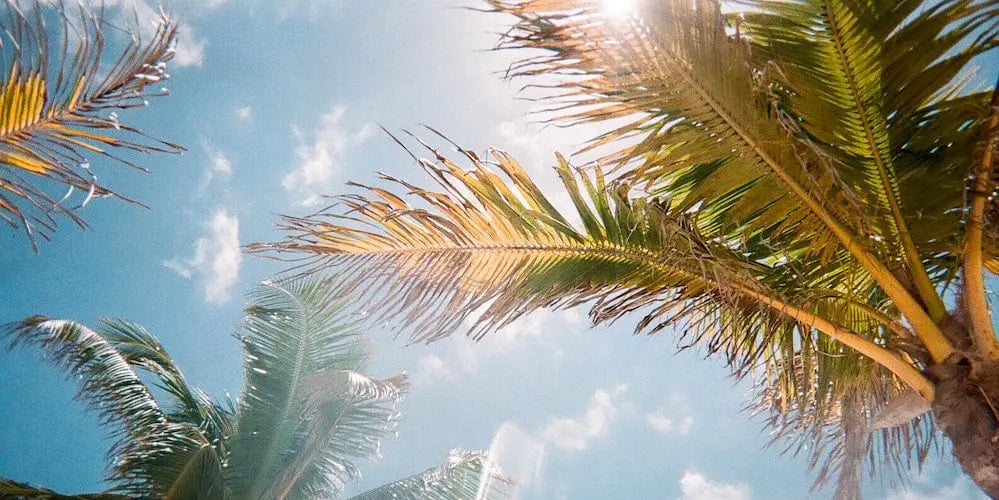 Is Delta-8 Legal in Florida?