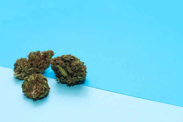 What is Delta-9 THC?