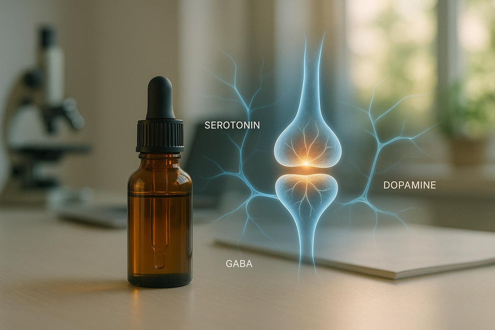 CBD and Anxiety: Key Neurotransmitters Explained