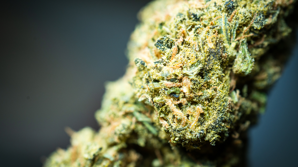 A Close-Up Image Of Cannabis Flower