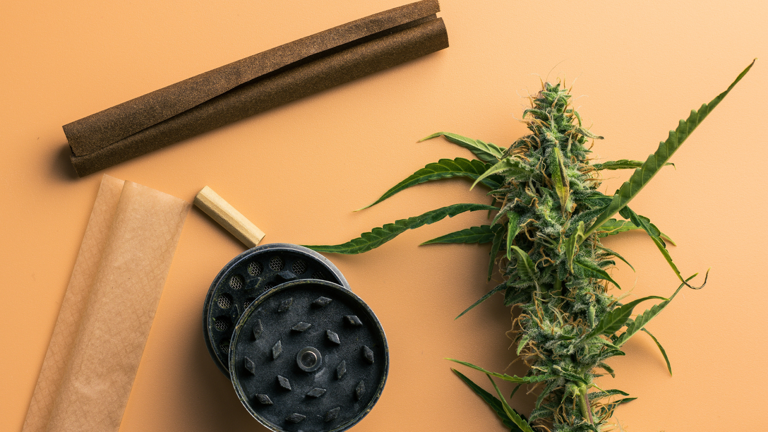 THCA Texas Laws: What Buyers Should Know in 2025 Diet Smoke THCA Texas Laws: What Buyers Should Know in 2025 Diet Smoke
