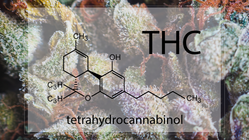 The THC Chemical Model