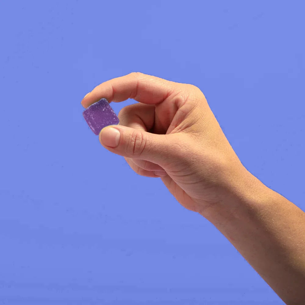 A hand holding a purple blackberry gummy against a blue background.