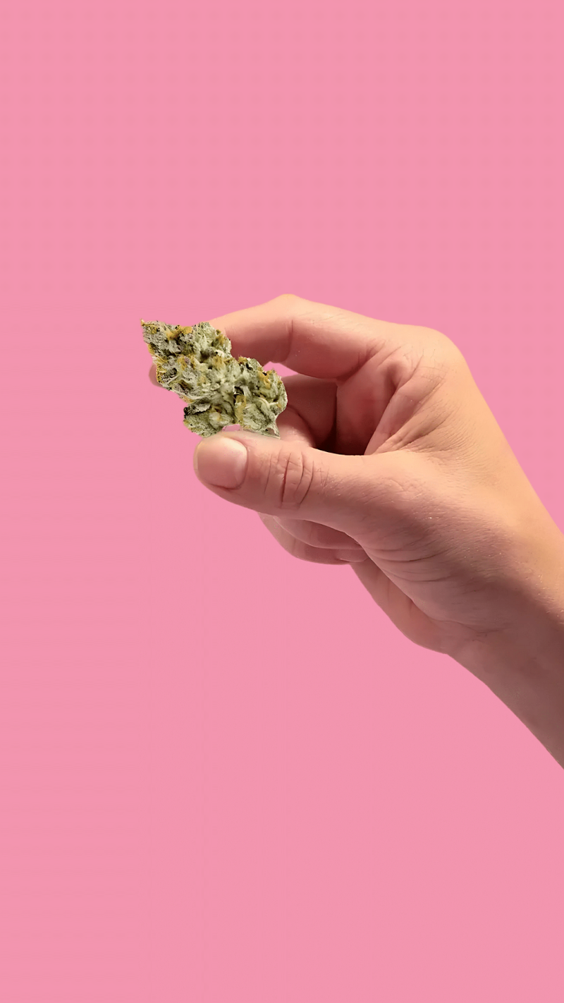 Exotic THCA Flower
