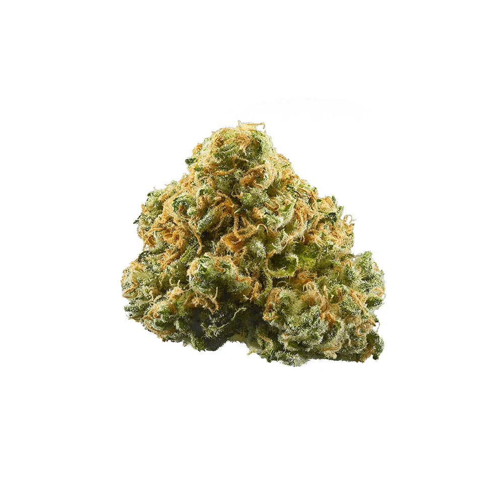 Close-up of Pineapple Express cannabis bud