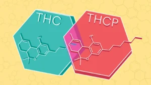 THC-P molecule